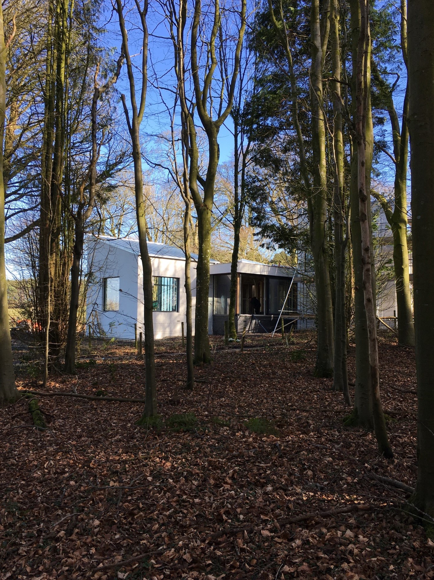 Red Raven Design project — Gills House site view