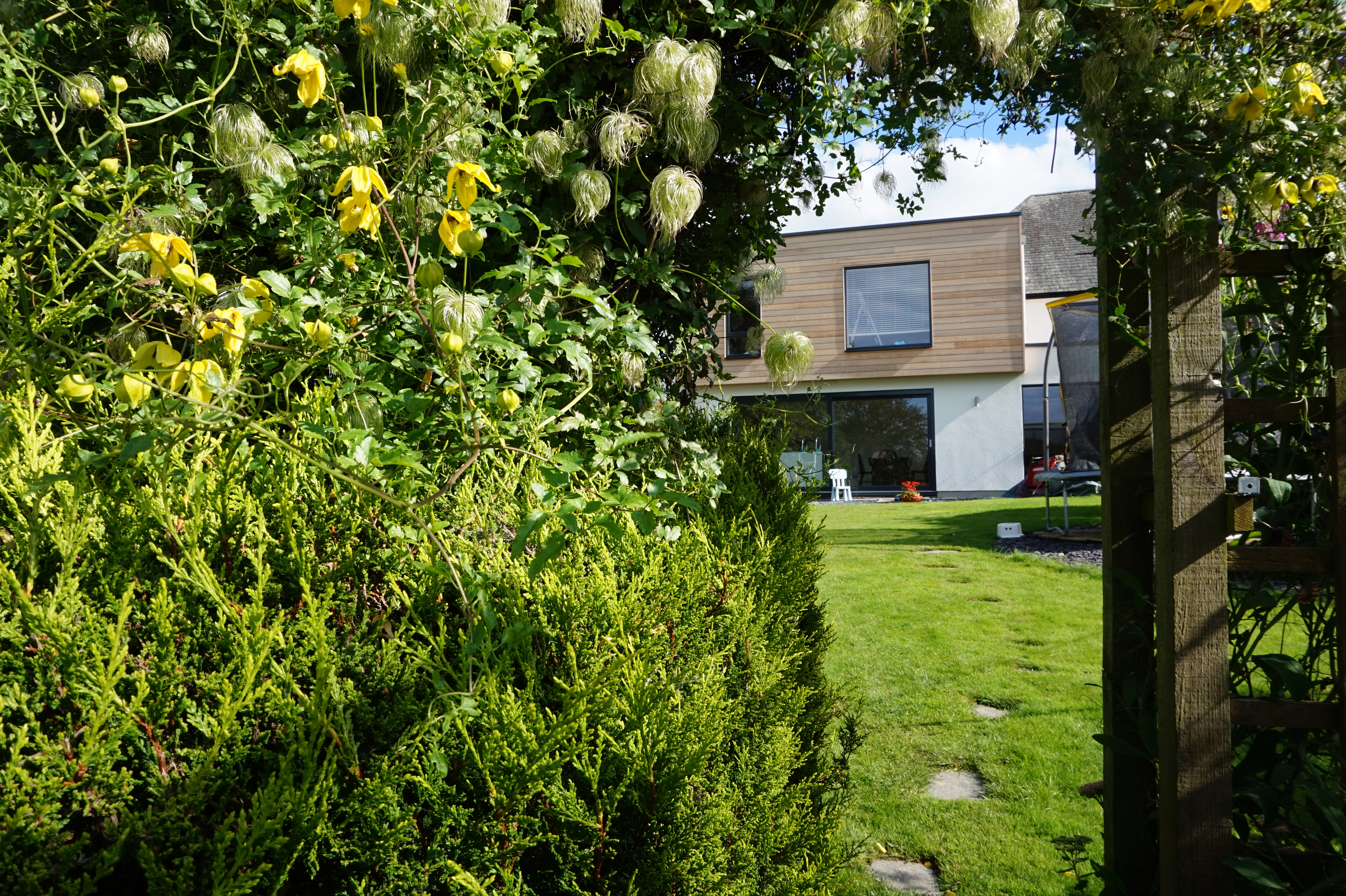 Red Raven Design project — timber-clad extension, garden view