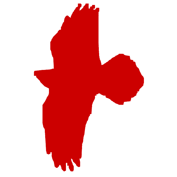 Red Raven Design